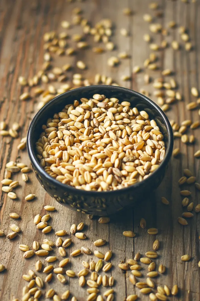 Pure Golden Wheat Grains - Transparent & Traceable Produce